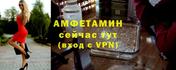 дмт Шали