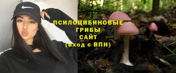 мяу мяу мука Майский