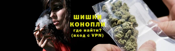 стаф Магас