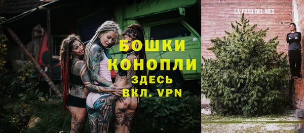 стаф Магас