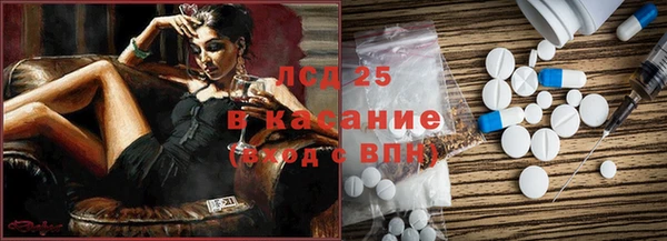 стаф Магас