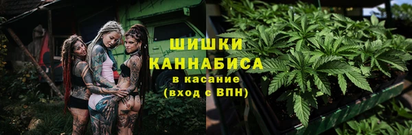 индика Ачинск
