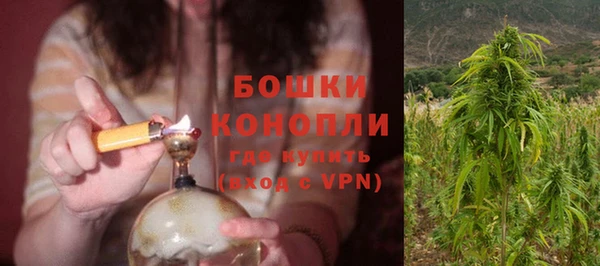 стаф Магас