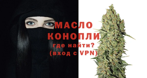 стаф Магас