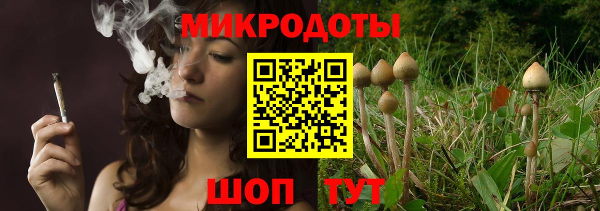 Галлюциногенные грибы мухоморы  хочу наркоту  Галлюциногенные грибы Psilocybine cubensis  Советский  Вход с VPN 